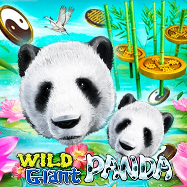 Wild Giant Panda